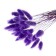 Dry -flowers "Lagurus", set of 30 pcs., Pudel color