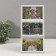 Photo frame plastic in 3 photos "Trio" 10x15 cm (16.5x33.5 cm)