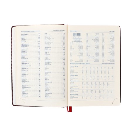 Dated diary of 2025, A5, 168 sheets in the ruler, leatherette "Nebraska", gold cut, burgundy-8