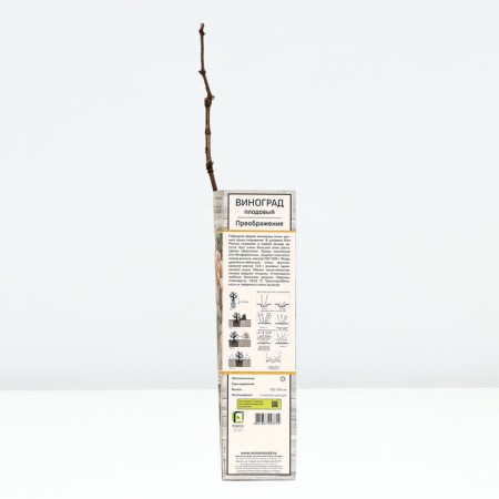 Fruit grapes "transformation", tube, 1 pc, spring 2024-2