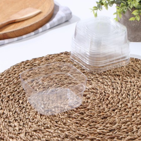 The set of plastic disposable containers did not forget! cover, 10 pcs-2