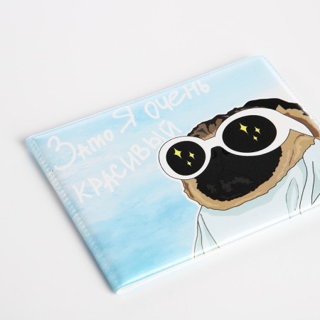 Cover for a student ticket, blue color-3
