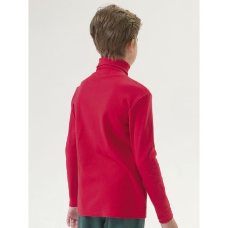 Turtleneck for the boy Pelican, height 134 cm, red color-2
