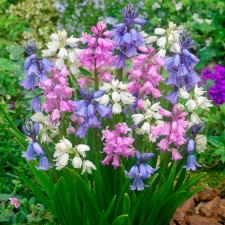 Pour bell-shaped mixture of colors, 7/8 rr, 10 pcs, 25 h (cm), autumn 2024