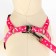 Kapron "Bones and Paws" kit, leash 120 x 1.5 cm, og 30-44 cm, pink