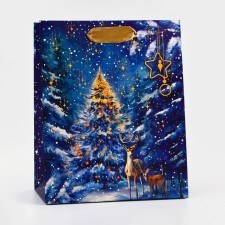 Package Gift New Year Laminated 
