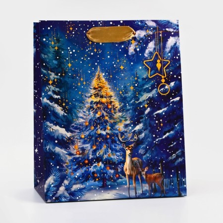 Package Gift New Year Laminated "Night Beauty", 18 x 22.3 x 10 cm.