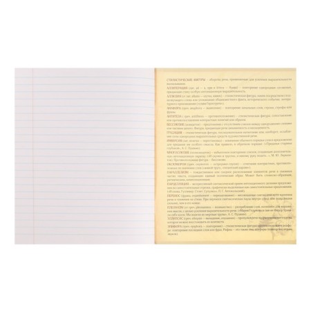 Subject subject calligrata "light marble", 48 sheets in the line of literature, with reference material, cover coated cardboard, uf-lak, block offset-4