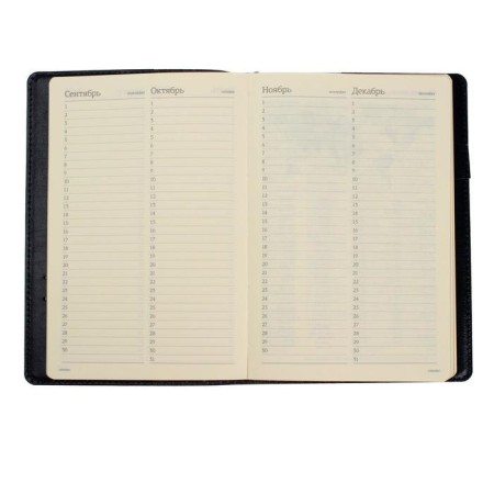 Diary Semi -dated A5, 208 PROFY sheets, reclaid leather, replaced block, gold cut, black-5