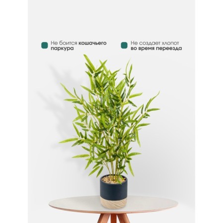 Bamboo in a cement pot, 125 × 125 × 650 mm, green / black / beige color-5
