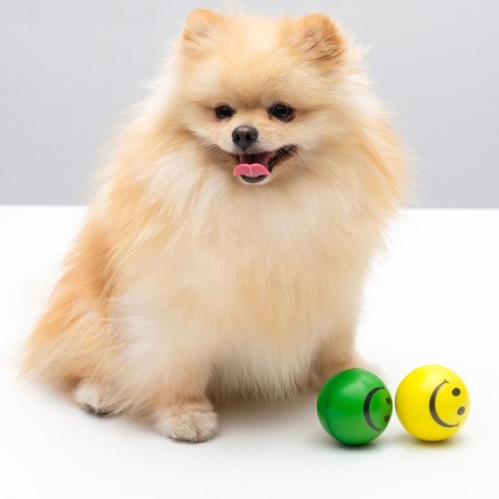 Sephron Ball "Smiley", 6.3 cm, mix of flowers-7