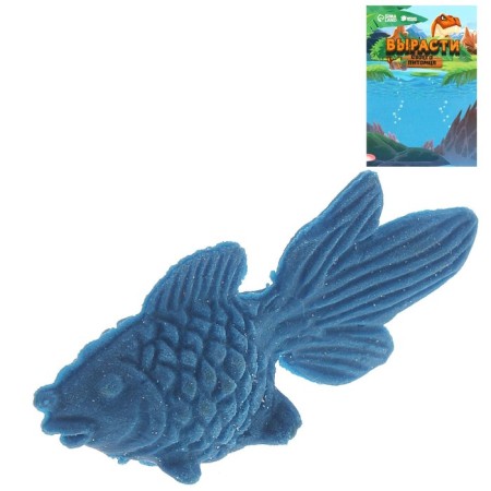 Children's experience “growing animal. Goldfish ", mix-10