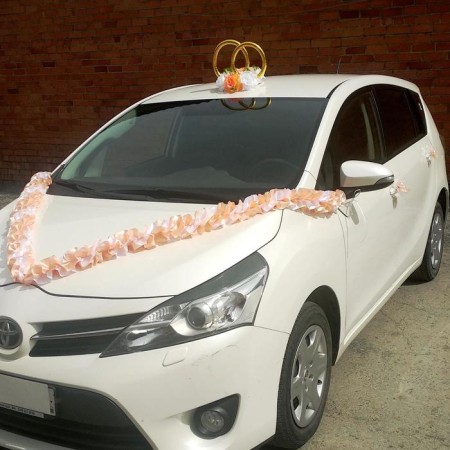 Set for decorating a car: roof rings, hood tape, 4 bow, peach-1
