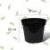 Pot for seedlings, 15 l, d = 31 cm, h = 26 cm, black, Greengo