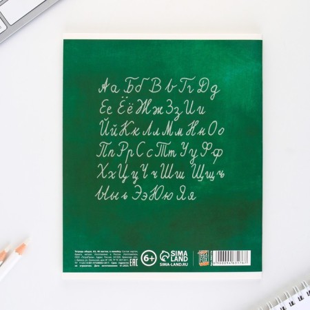 An objective note 48 sheets, A5, cute pets, with reference materials “September 1: Russian language”, cover coated cardboard 230 gr., Inner block in a line of 80 gr., Whiddle 96%, block No. 1.-5