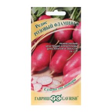 Seeds Radis 