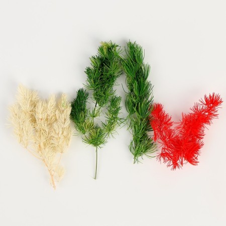 Set of dried flowers "Bright day", color mix-1