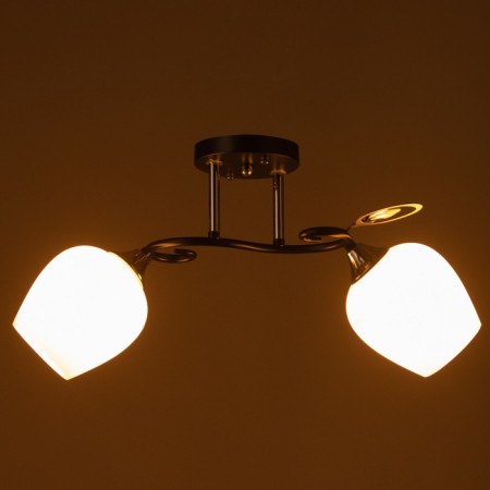 Ceiling Ceiling Maggie 2HE27 40W Black, Chrome-2