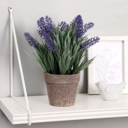 Bonsai in the pots "Muscari" 10x22 cm, mix
