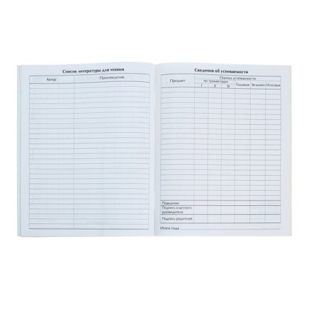 Universal diary for grades 1-11, Gossimvolika of Russia-4, soft cover, 40 sheets-6