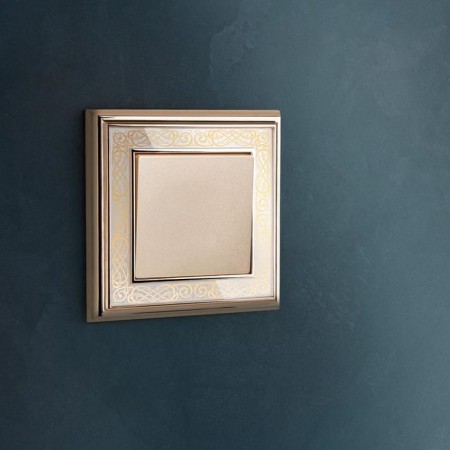 Single-valve switch WL11-SW-1G, Shampan-2