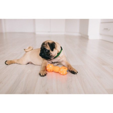 Brying toy "dumbbells with paws" for dogs, 13 cm, orange-4