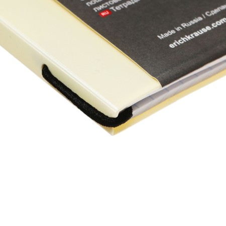 A4 notebook, 48 sheets in the Erichkrause "Folderbook Pastel", a replaceable plastic cover, on the elastic band, the offset unit, whiteness is 100%, yellow-2