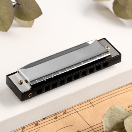 Music Life T10-4 Harly Diatonic, 10 holes, with a case-1