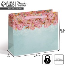 Gift Package Laminated, packaging, 