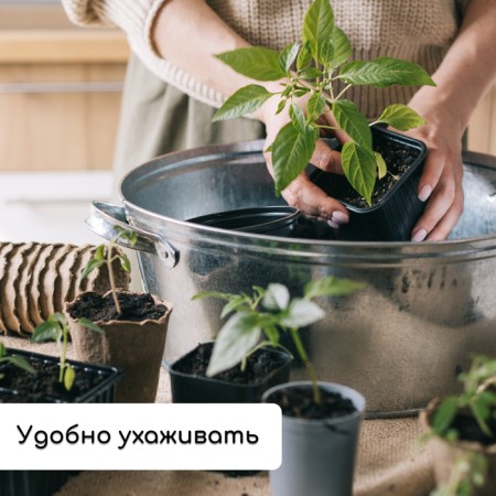 Set for seedlings: glasses of 320 ml (18 pcs.), Patron 51 × 26 cm, Greengo-5