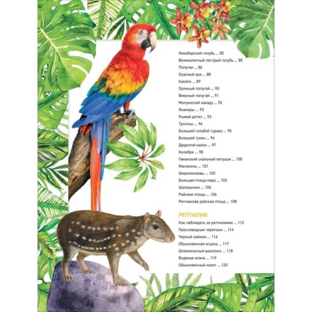 Encyclopedia "Amazing Animals"-3