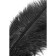 Ostrich -toyfa Theatre feather, Black color, 40 cm