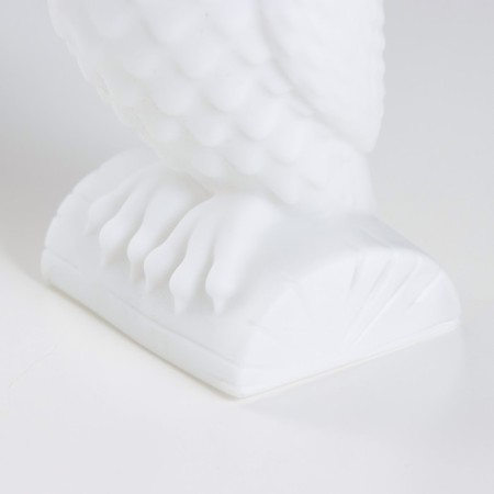 Night Owl LED from white batteries 7x9x19 cm Risalux-6