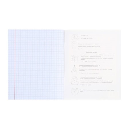An objective note 48 sheets in the anime cage "Geometry", covered cardboard, embossing with cold foil, lamination soft-Touch, OFSET block-2