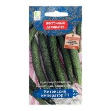 Seeds of the cucumber 
