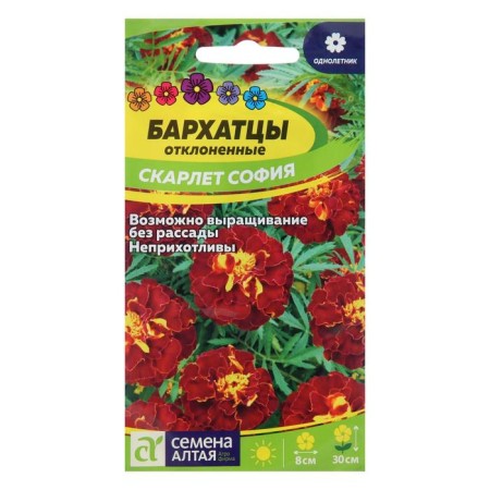 Flower seeds of velvet "Scarlet Sofia", terry, seed. ALT, c/p, 0.2 g
