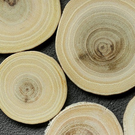 Saw a tree "acacia", round, d = 4-7 cm, h = 3.5 mm-2