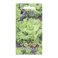 Salad Salad 