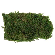 Moss for decor 50 g green