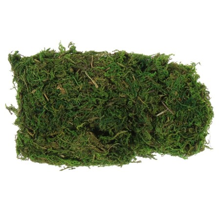 Moss for decor 50 g green