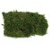 Moss for decor 50 g green