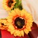 Artificial flowers "Sunflower Galant" 9x62 cm, yellow