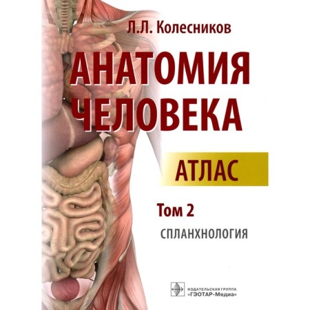 Human anatomy. Atlas: in 3 volumes. Volume 2. Plankhnology. Kolesnikov L.L.