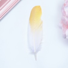 Feathers for decor, gold, partial color 13-15 cm 10 pcs