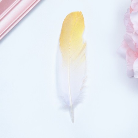 Feathers for decor, gold, partial color 13-15 cm 10 pcs