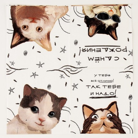 Paper napkins 25*25cm "cats" (set 20 pcs)-3