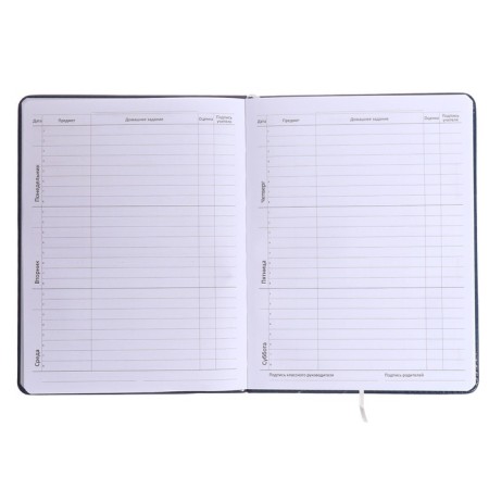 Universal diary for grade 1-11, solid cover, artificial leather, blue cover, lies, 80 g/m2-6