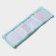 Nozzle for a flat mop of the share "pastel", 42 × 12 cm, microfiber, 60 grams, mint color