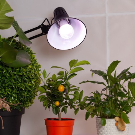 Phytolamps for plants LED era Fito-11W-RA90 27 Full Spectrum New 11 W E27-4