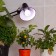 Phytolamps for plants LED era Fito-11W-RA90 27 Full Spectrum New 11 W E27